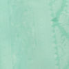 Sea Green Celebration Saree